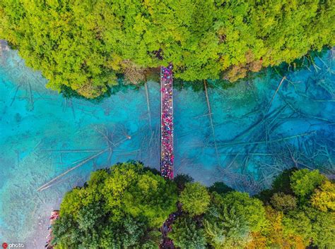 Famed Chinese Scenic Spot Jiuzhaigou Welcomes More Daily Visitors