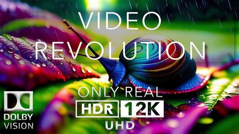 12k hdr 60fps bright dolby vision youtube