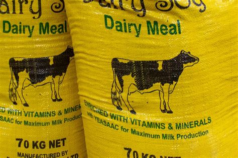 Developing Animal Feed for Kenyan Farmers | Partners in Food Solutions