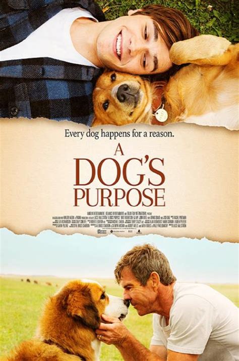 The film is based on the 2012 novel of the same name by cameron, and a sequel to the 2017 film a dog's purpose. Community Cinema - A Dog's Purpose