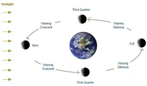 Astropages Moon Phases