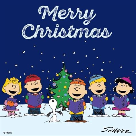 Pin By Angie Esquivel On Peanuts Cartoon Merry Christmas Charlie