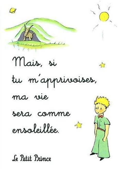 Here are 18 the little prince quotes that will take you on a journey back to your childhood. Le Petit Prince Quotes In French. QuotesGram
