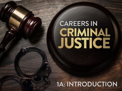 Careers In Criminal Justice A Introduction Edynamic Learning