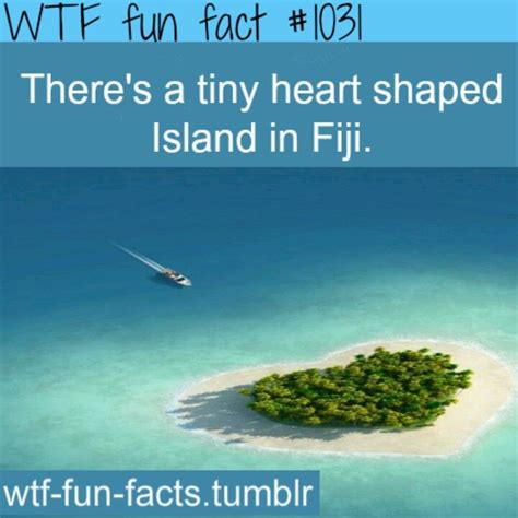 Fact 1031 Weird Facts Pinterest Islands A Line And Fiji