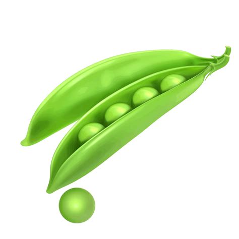 Pea Png Transparente Png All