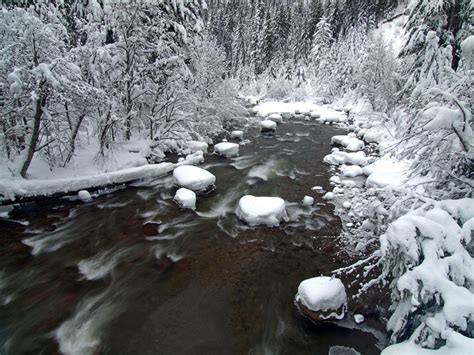Dec 31 Winter Wonderland On Cold Spring Creek Oregon Hikers