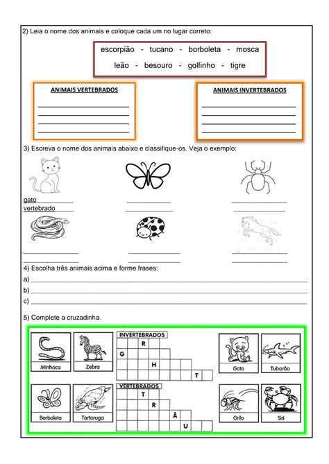 Habilidades Sobre Animais Invertebrados 7 Ano