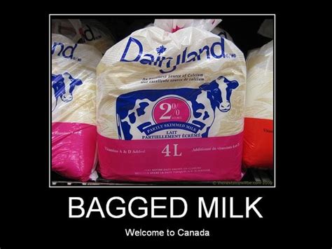 Yes Canucks Really Do Drink Bagged Milk Canadutch