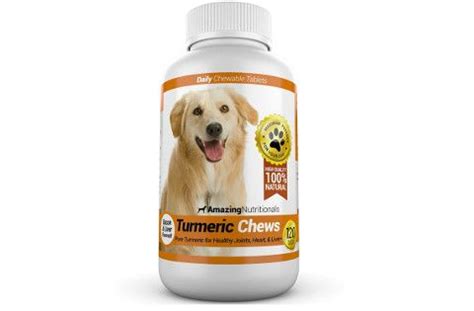 Genetics of pancreatic cancer video. Turmeric for Dogs: Everything You Must Know | Dog cancer ...