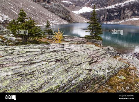 Lake Oesa In Yoho National Park British Columbia Canada Stock Photo