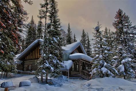 Cabin In Winter Forest