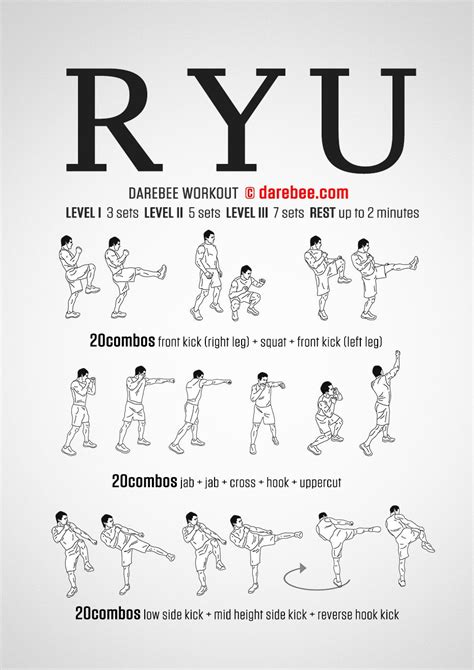 Ryu Workout Martial Arts Workout Mma Workout Kickboxing Workout
