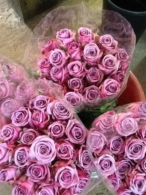 Types of purple cut flowers. Cool Water Roses The perfect purple for Bridal Bouquets ...