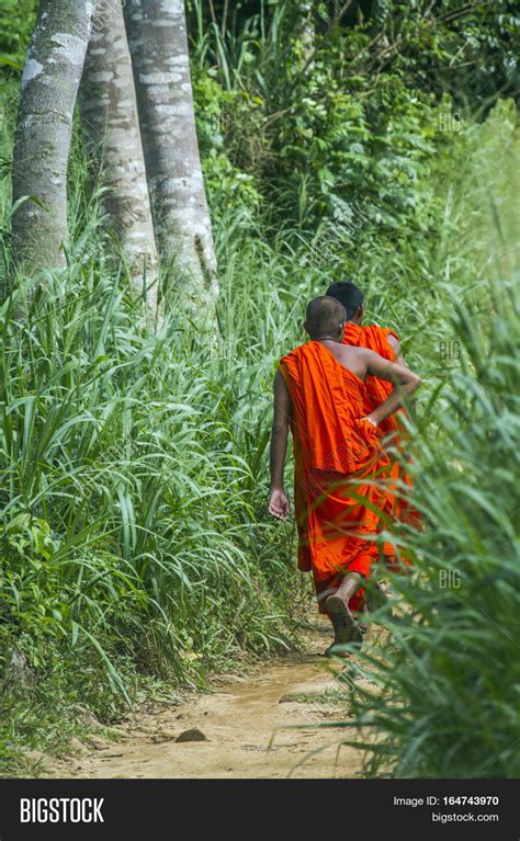 Buddhist Monk Walking Image And Photo Free Trial Bigstock