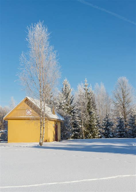 Until it became independent in 1991, belarus, formerly known as belarusian history is thus less an isolable national narrative than a study of regional forces, their. Landschaft Nahe Haus Des Malers Repin. Redaktionelles ...