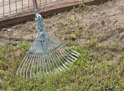 The most efficient way to get it done is to rent an aerator or power rake from your local hardware store. When to Dethatch a Lawn | Hunker