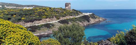 It is known as isola del diavolo (devil's island), since it was used as a quarantine location. Posti imperdibili in Sardegna - L'Isola dell' Asinara
