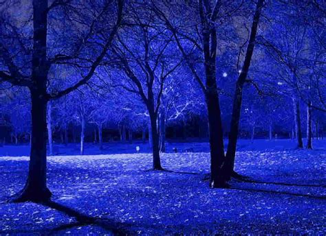 Blue Night Trees Branches Blue Tree Blue Sky Wallpaper Blue Pictures