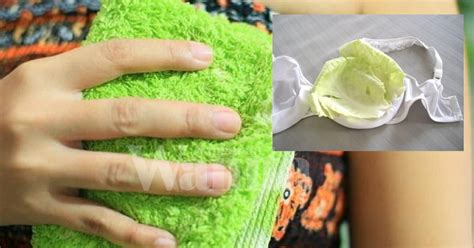 Susu badan cair adalah sebenarnya berpunca cara mengurangkan whitehead. Derita BENGKAK SUSU, Letak Daun Kobis Boleh Redakan Sakit ...