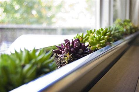 Make looking after your indoor plants easy with these 15 awesome self watering planters. Indoor Gardening Ideas to Beautify Your Space