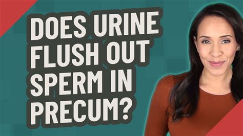 Does Urine Flush Out Sperm In Precum YouTube