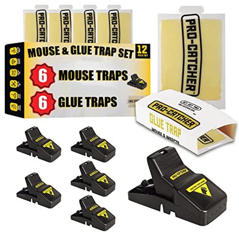 10 Best Mouse Traps For Indoors Reviews By Cosmetic Galore