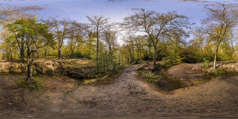 360 Hdri Panorama Of Epping Forest 5 In High 30k 15k Or 4k Resolution
