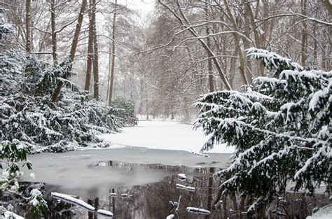 Little Lake In Park Tiergarten During Winter Outdoor