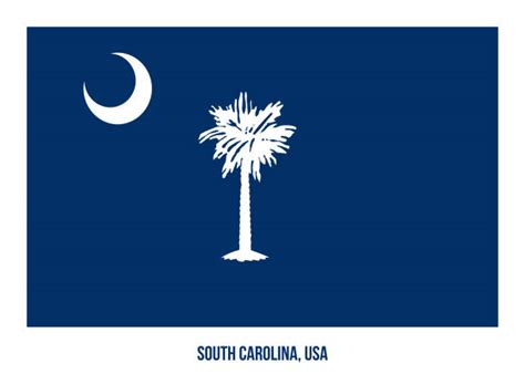 South Carolina Flag Illustrations Royalty Free Vector