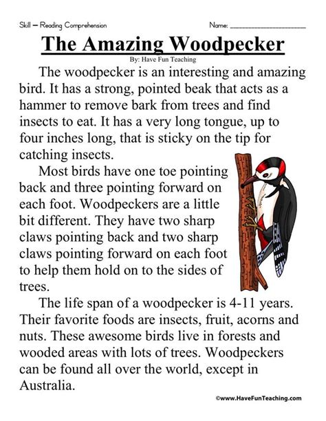 The Amazing Woodpecker Comprehension Worksheets Reading