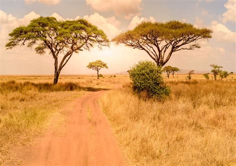 Clima E Seus Impactos Em África Presente E Futuro