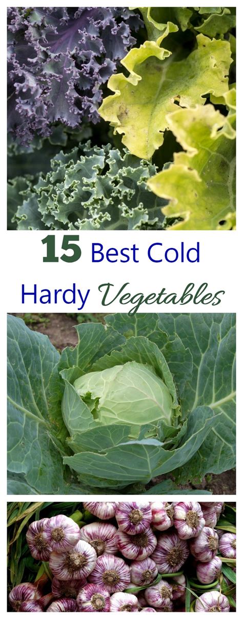 Cold Hardy Vegetables Let You Get A Head Start On Spring