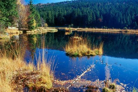 Und das in kombination mit im camping klein kanada kann man bei jedem wetter baden, denn die anlage verfügt über ein hallenbad und. "Klein-Kanada" im Bayerischen Wald