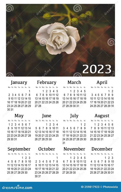 Botanical Calendar For 2023 Stock Illustration Illustration Of 2023