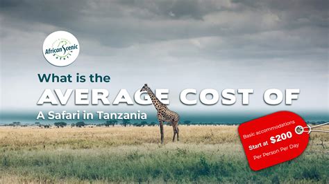 What Is The Average Cost Of A Safari In Tanzania