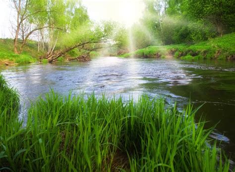 Lidder Fluss Im Pahalgam Stockfoto Bild Von Garten Schnell 42417798