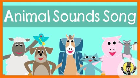 Animal Sounds Song The Singing Walrus Youtube