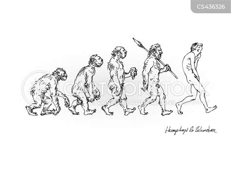 Homo Sapiens Evolution Timeline