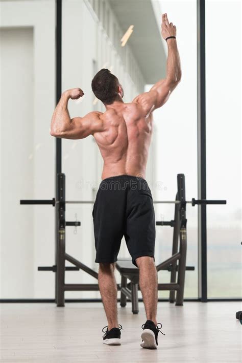 Muscular Man Flexing Muscles In Gym Stock Photo Image Of Flexing