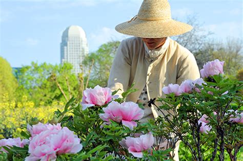 Stephanie is a winston salem native who returned to her home after college to bring beautiful, natural floral arrangements to the city of the arts + innovation. Experiencing the Heritage of Winston-Salem, NC