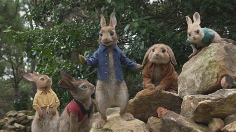 Meet Flopsy Mopsy And Cotton Tail New Peter Rabbit Videos Movies