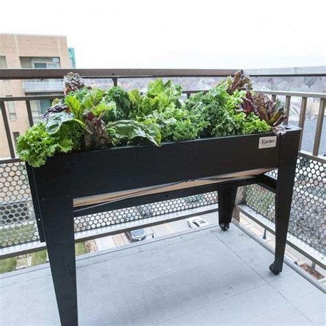 22 Raised Bed Ideas For Balcony Gardeners Balcony Garden Web