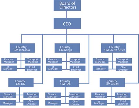 Organizational Structure Diagram Organizational Chart Tanzania Png