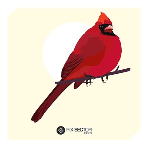 Red Cardinal Bird Vectorart Pixsector