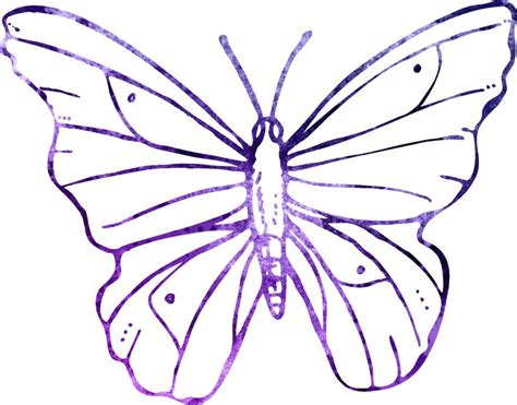 Butterfly Purple Drawing Free Image Download