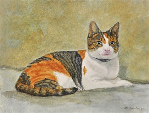 Beautiful Calico Cat Painting By Phyllis Tarlow Fine Art America