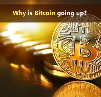 Predictions for bitcoin cash could be optimistic just because it's the most successful hard fork in cryptocurrency history today. Bitcoin Price: Why is Bitcoin going up | Bitcoin, Bitcoin ...