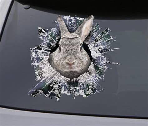 sticker rabbit window sticker car sticker rabbit car decal etsy