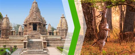 2 Nights 3 Days Panna National Park Tour Package From Khajuraho Best Cost